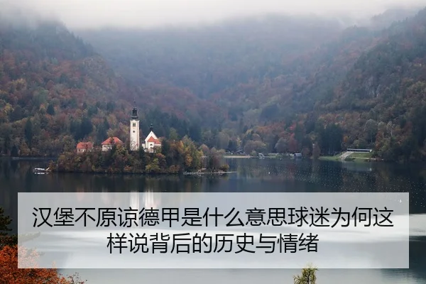汉堡不原谅德甲是什么意思球迷为何这样说背后的历史与情绪